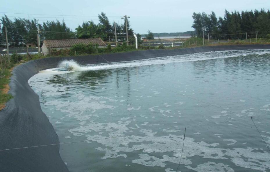 鱼塘池塘防水布防水工程